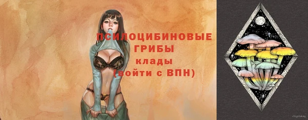 мескалин Няндома