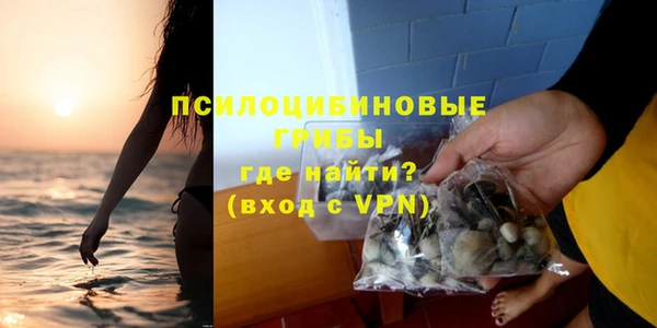 мескалин Няндома