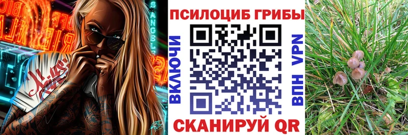 Галлюциногенные грибы Magic Shrooms  как найти наркотики  OMG как зайти  Ульяновск 